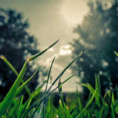 Advanced Noise-Cancelling Headphones