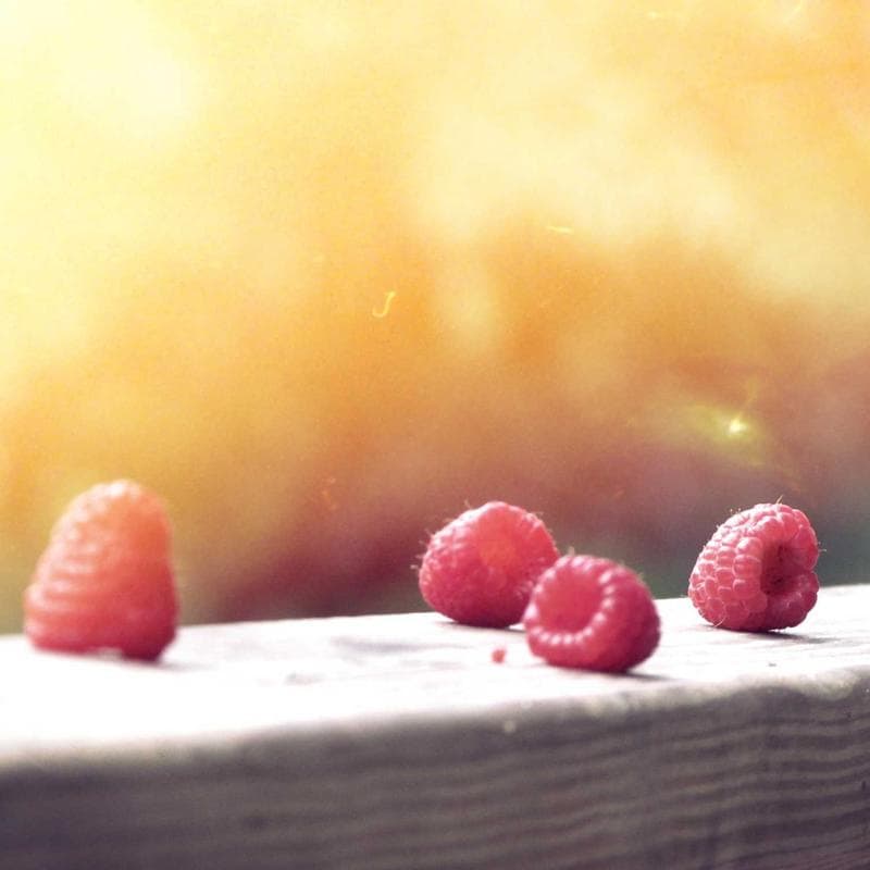 Classic Rugged Phone