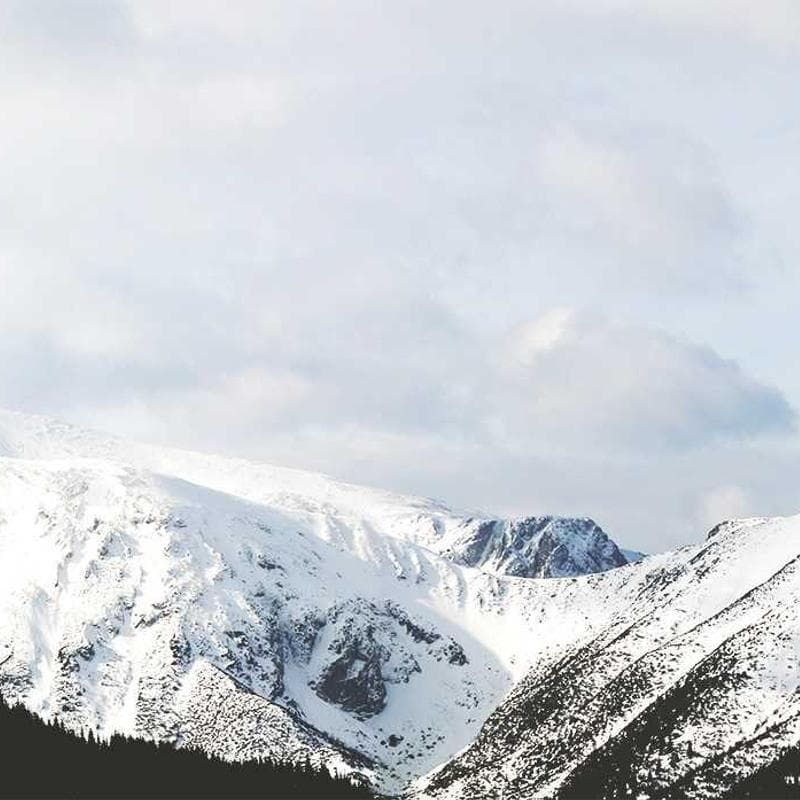 Compact Closet Organizer