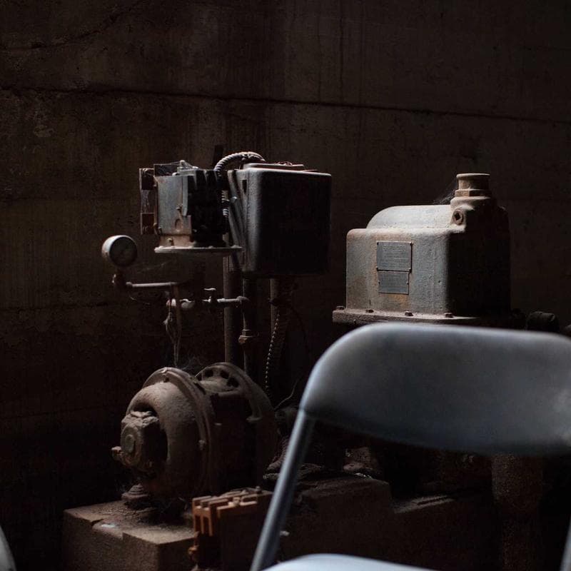 Premium Canvas Sneakers