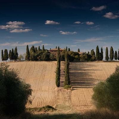 Premium Canvas Sneakers