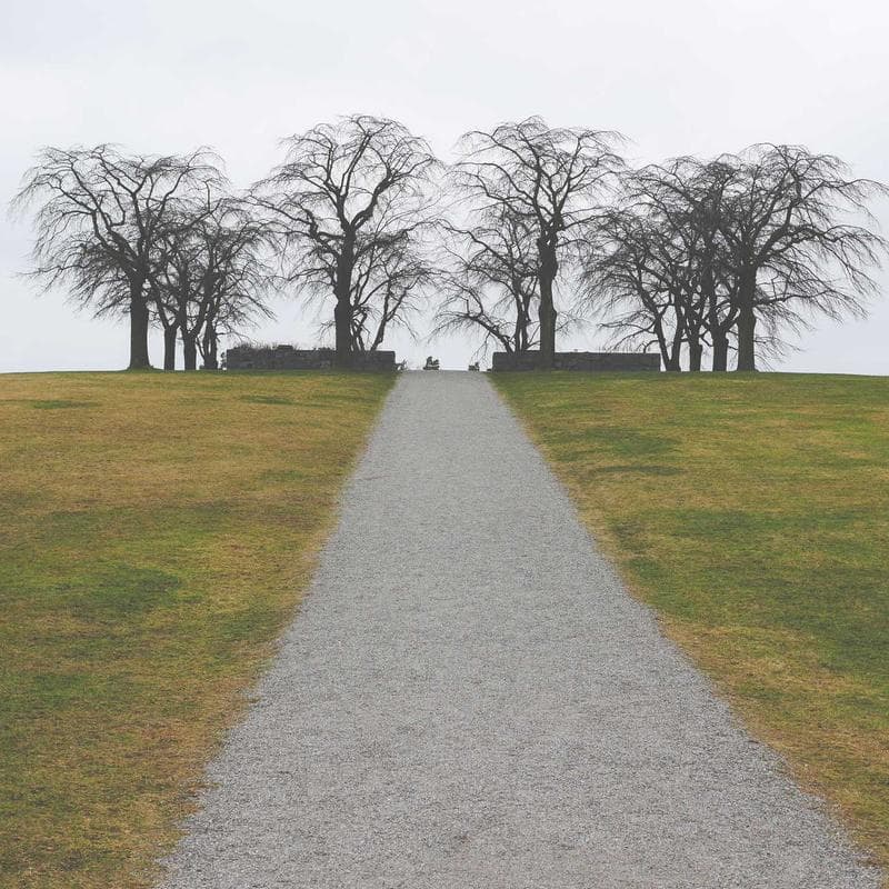 Ultra Resistance Bands