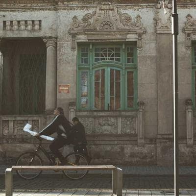 Essential Compression Socks