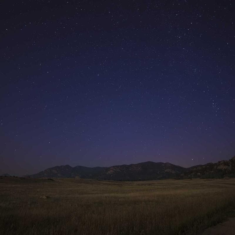 Premium Literary Fiction