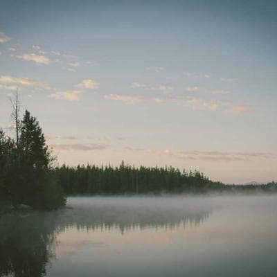 Pro Programming Guide