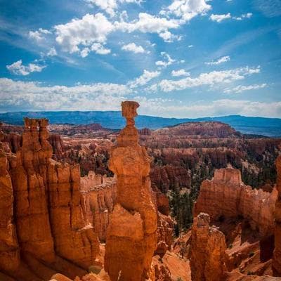 Deluxe Sunscreen SPF 50