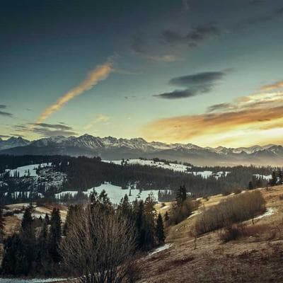 Essential Hair Dryer